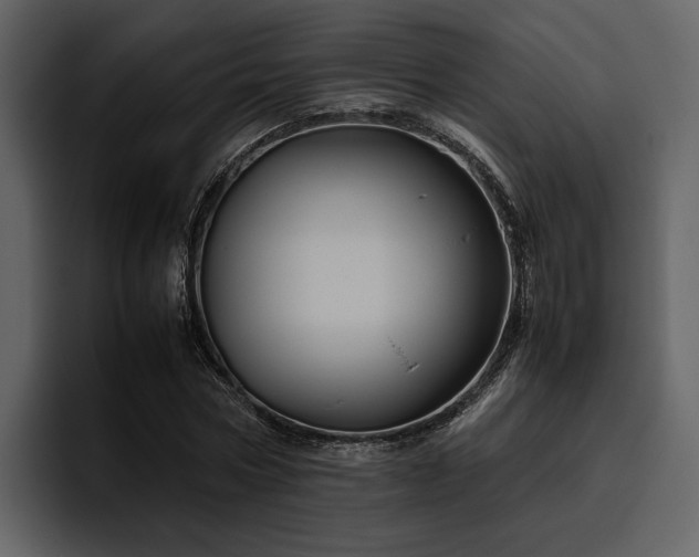 X0000095950778200801111349