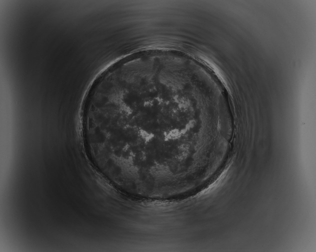 X0000095950779200801111349