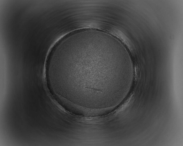 X0000095950780200801111349