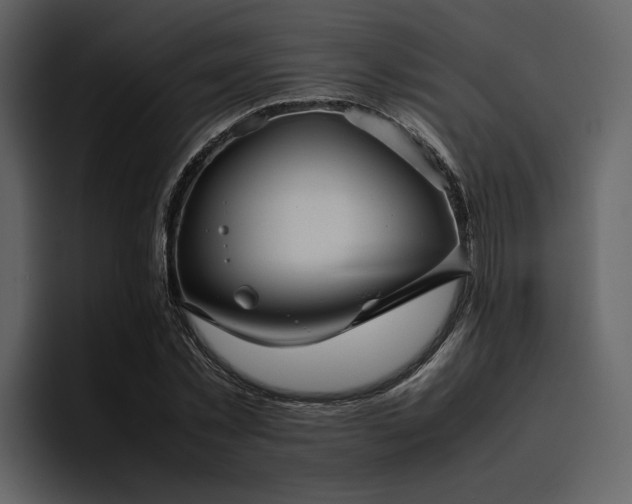 X0000095950781200801111349