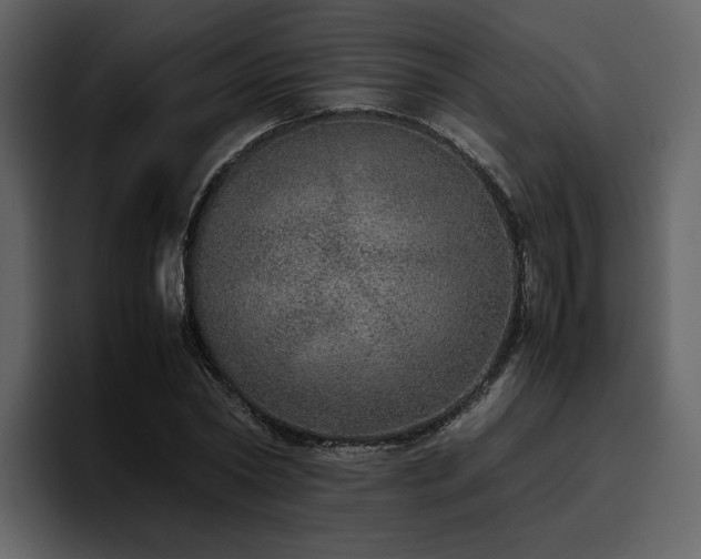 X0000095950782200801111349