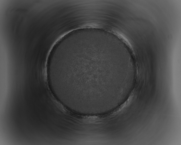 X0000095950784200801111349