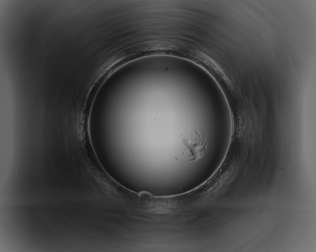 X0000095950786200801111349