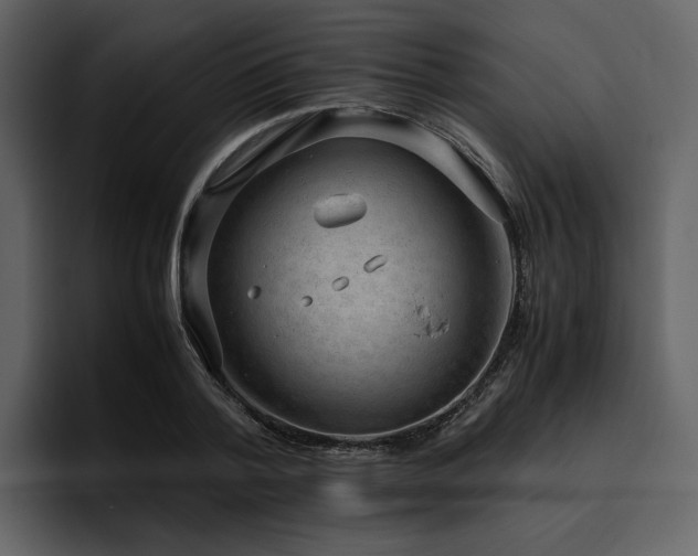 X0000095950788200801111349