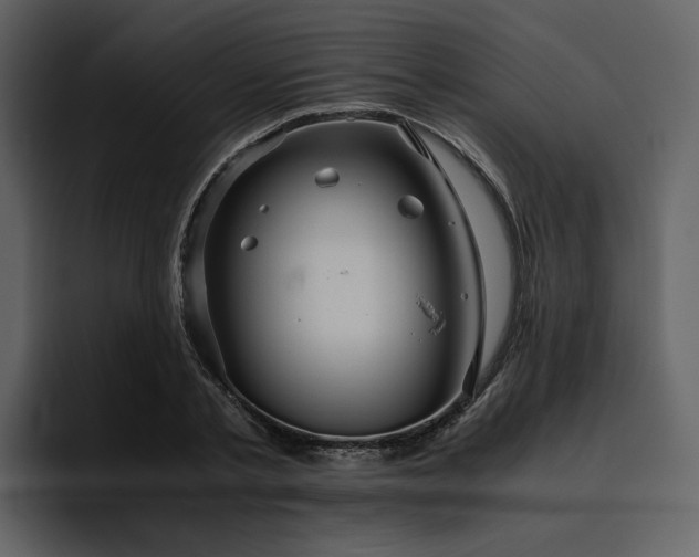 X0000095950789200801111349