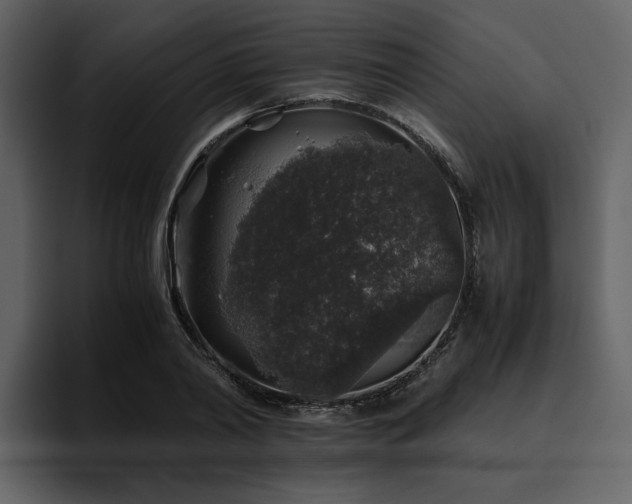 X0000095950790200801111349