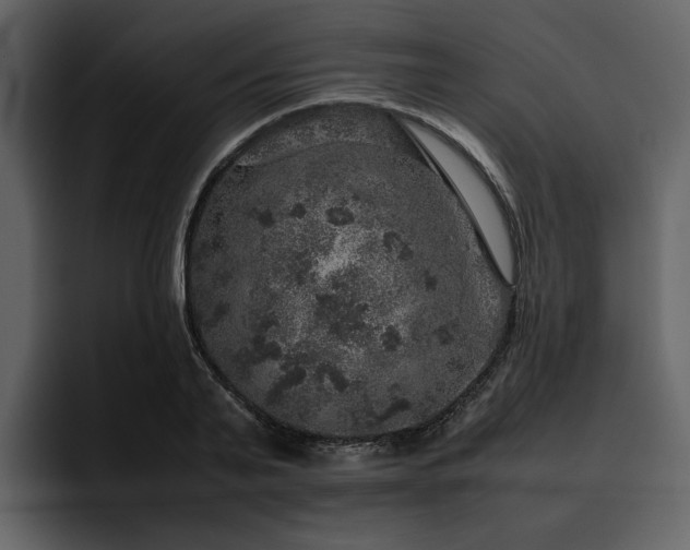 X0000095950791200801111349