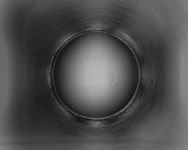 X0000095950794200801111349