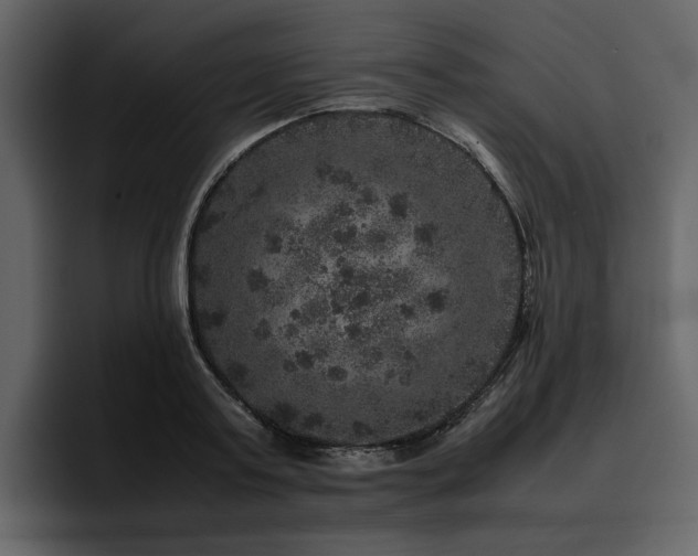 X0000095950795200801111349