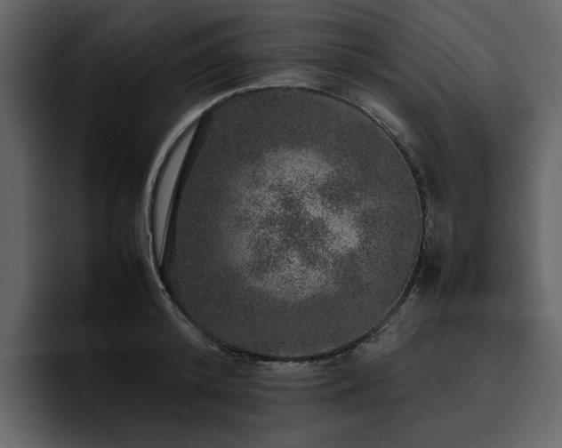 X0000095950800200801111349