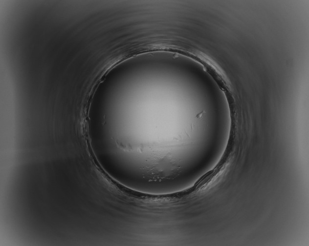 X0000095950801200801111349