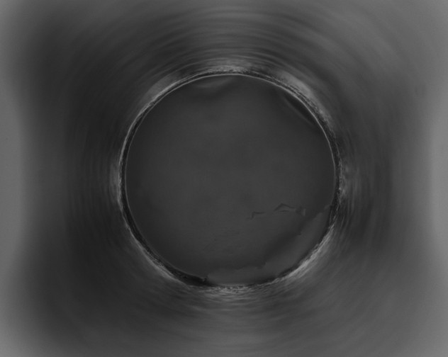 X0000095950802200801111349