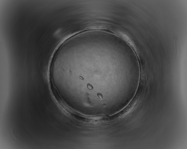 X0000095950803200801111349