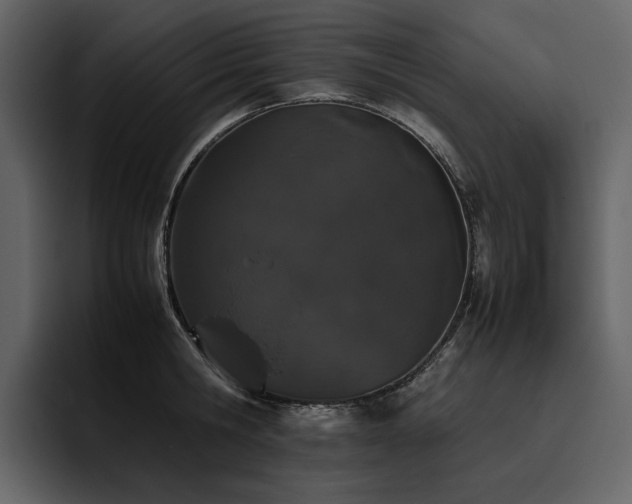 X0000095950806200801111349