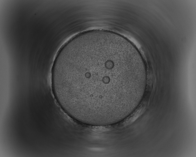 X0000095950807200801111349