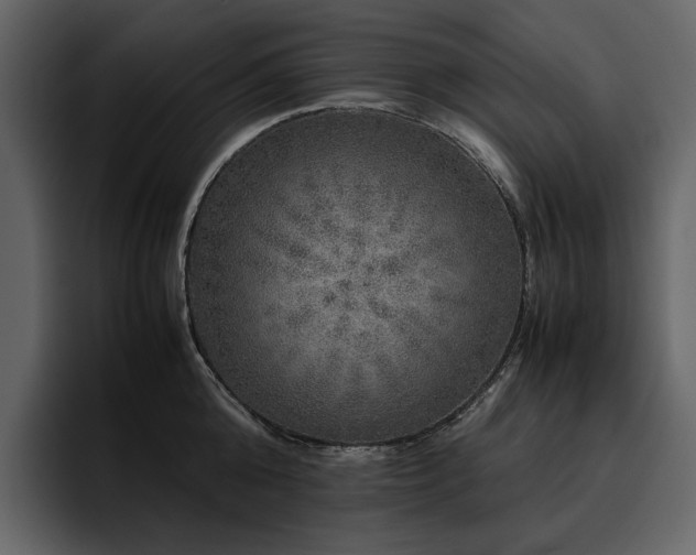 X0000095950808200801111349