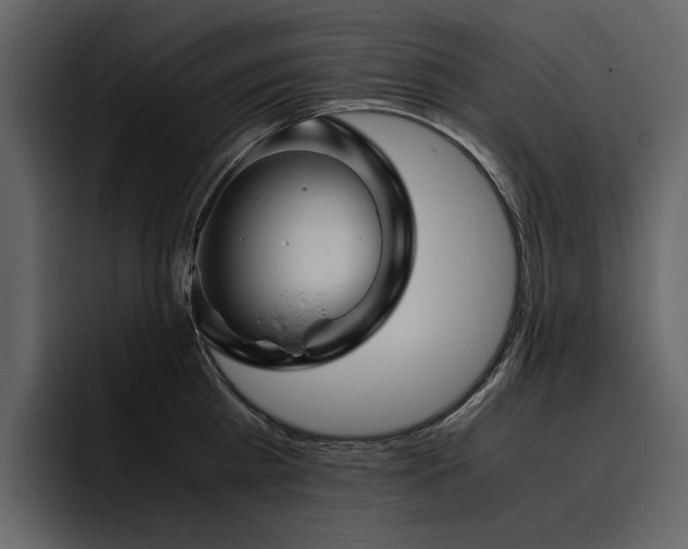 X0000095950809200801111348