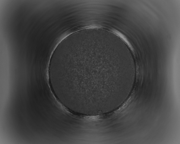 X0000095950810200801111348