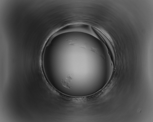 X0000095950813200801111348