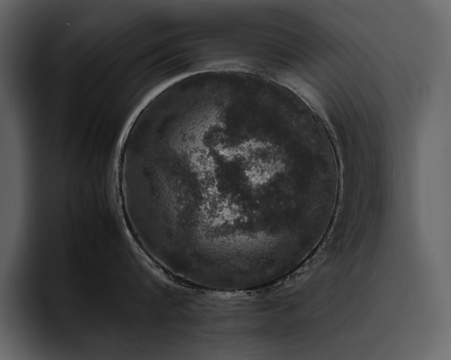 X0000095950816200801111348