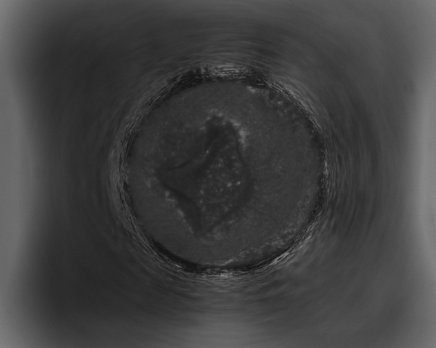 X0000095950817200801111348