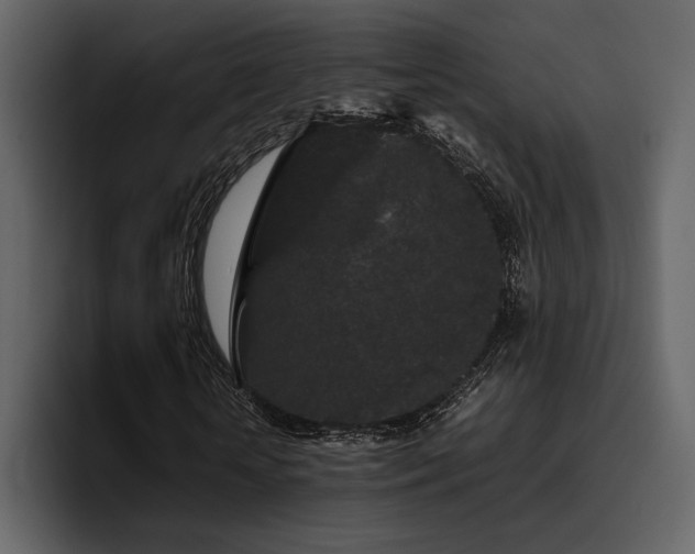 X0000095950818200801111348
