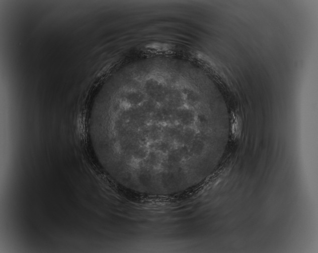 X0000095950819200801111348