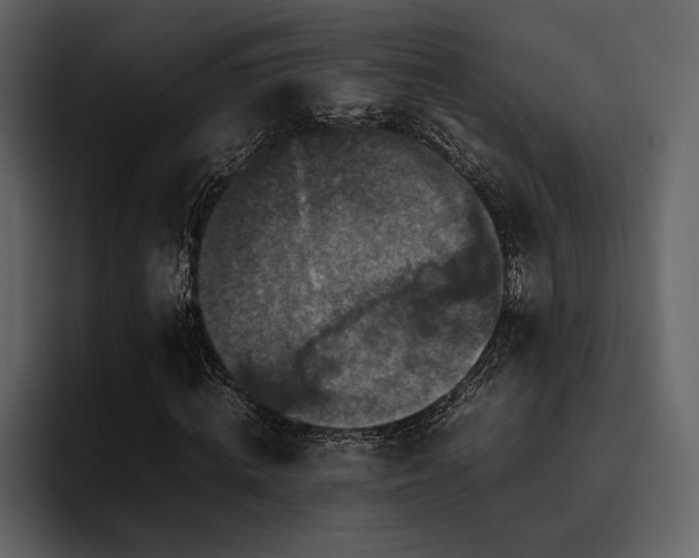 X0000095950820200801111348
