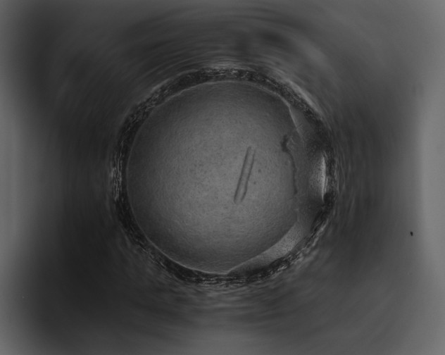 X0000095950821200801111348