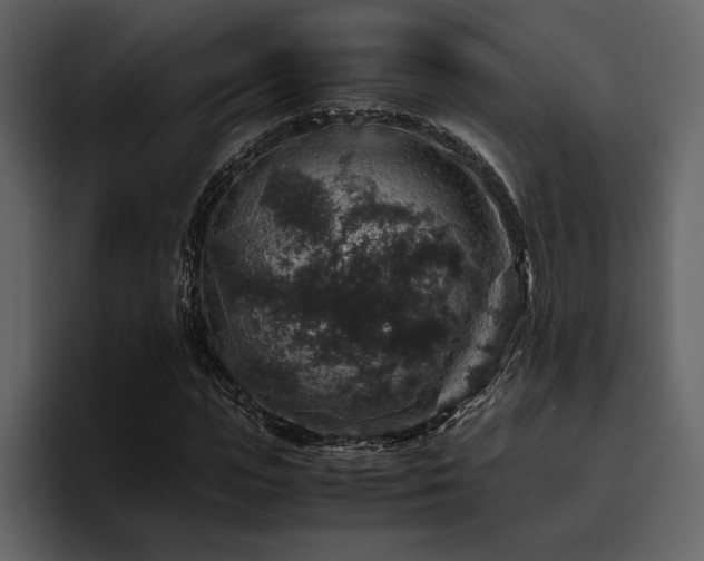 X0000095950823200801111348