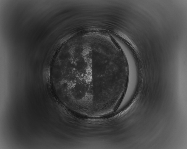 X0000095950825200801111348