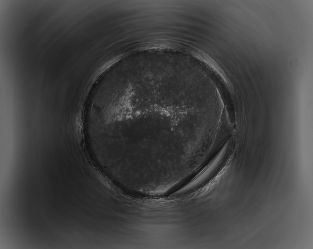 X0000095950826200801111348