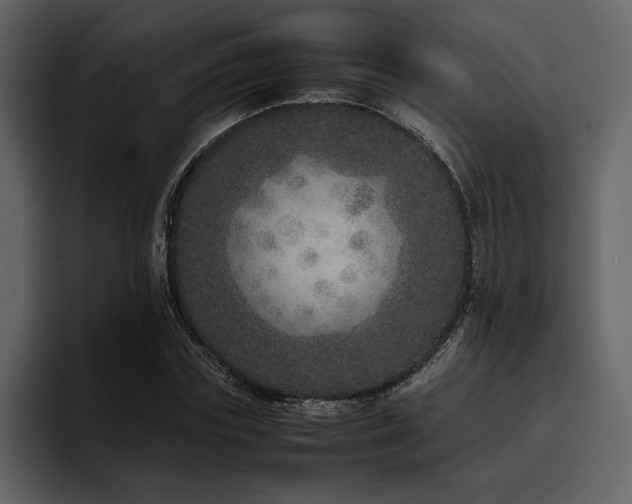 X0000095950827200801111348
