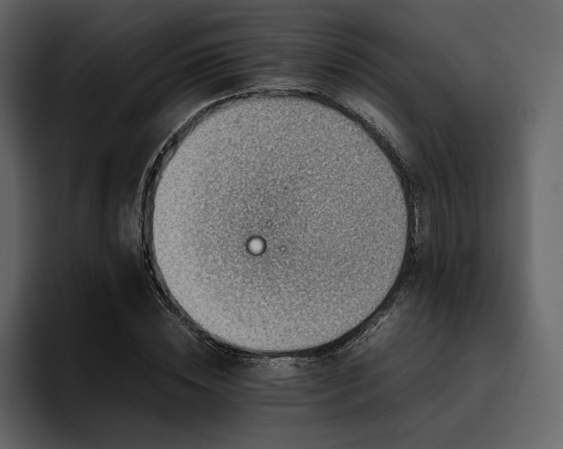 X0000095950828200801111348