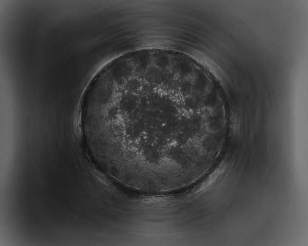 X0000095950830200801111348