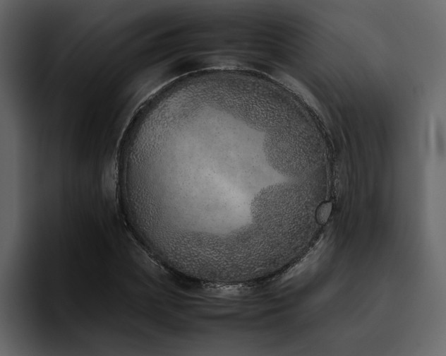 X0000095950831200801111348