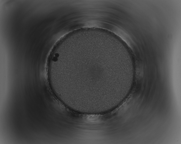 X0000095950832200801111348