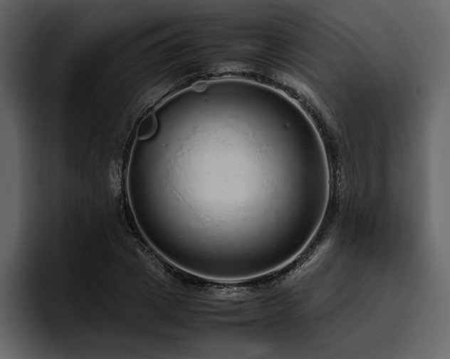 X0000095950833200801111348