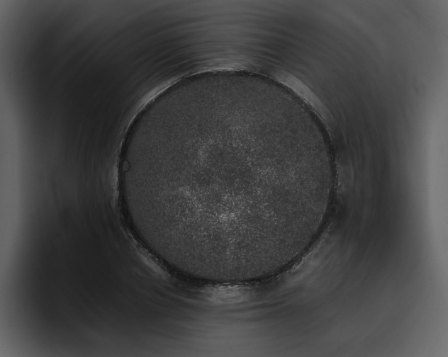 X0000095950834200801111348