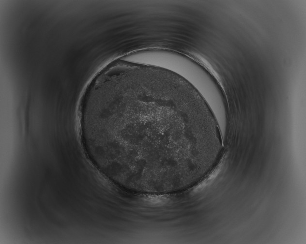 X0000095950835200801111348