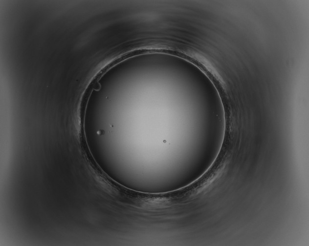 X0000095950837200801111348