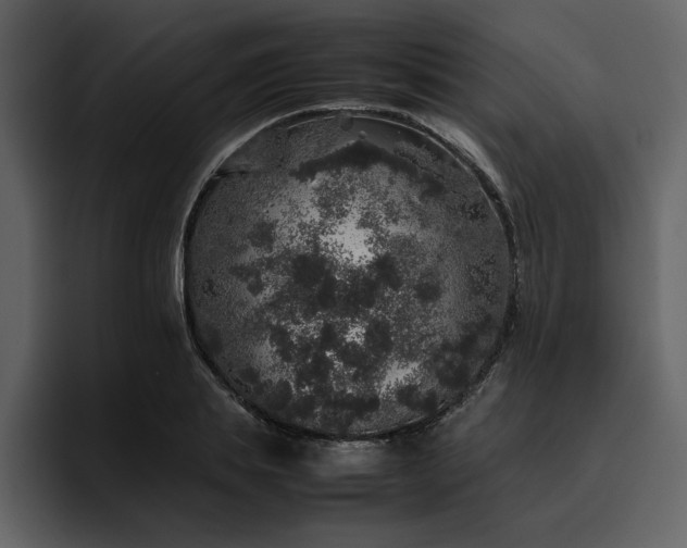 X0000095950839200801111348