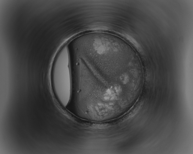 X0000095950840200801111348
