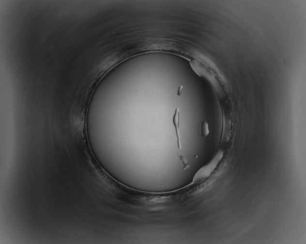 X0000095950841200801111348