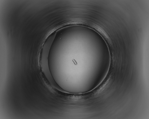 X0000095950842200801111348