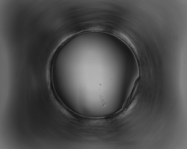 X0000095950843200801111348
