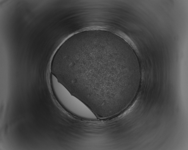 X0000095950844200801111348