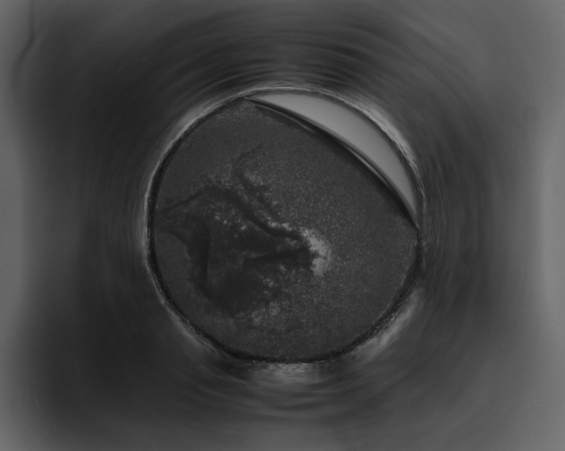 X0000095950845200801111348