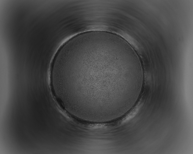 X0000095950846200801111348