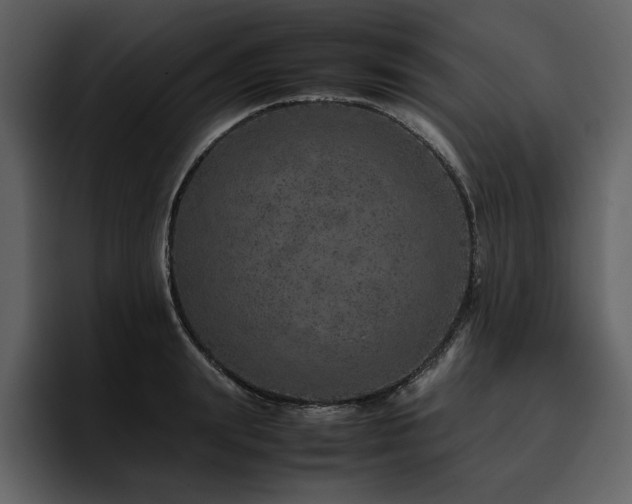 X0000095950847200801111348